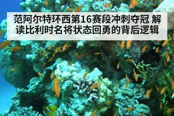 范阿尔特环西第16赛段冲刺夺冠 解读比利时名将状态回勇的背后逻辑